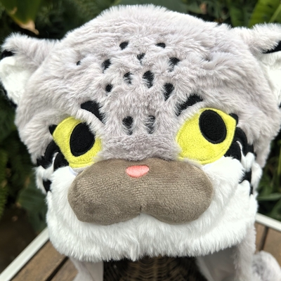 被り物 マヌルネコ | 神戸どうぶつ王国NS